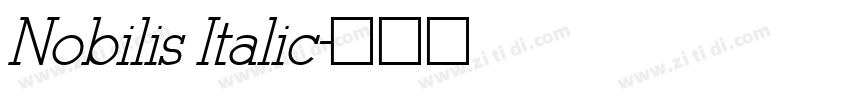 Nobilis Italic字体转换